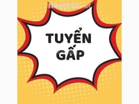 Cần tuyển gấp nam nữ lao động phổ thông, đóng gói sắp xếp hàng hoá Cần tuyển gấp nam nữ lao động phổ thông, đóng gói sắp xếp hàng hoá