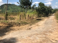 Bán Đất Đồi Thị Trấn Tân Nghĩa-Huyện Hàm Tân-Tỉnh Bình Thuận Bán Đất Đồi Thị Trấn Tân Nghĩa-Huyện Hàm Tân-Tỉnh Bình Thuận