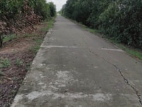 Chính chủ kẹt tiền mùa dịch cần bán gấp miếng đất mặt tiền đường Chính chủ kẹt tiền mùa dịch cần bán gấp miếng đất mặt tiền đường