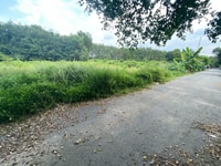 4000m2 mặt tiền đường nhựa 12m, thổ cư 300m giá 2,5tr/m2 gần ủy ban 4000m2 mặt tiền đường nhựa 12m, thổ cư 300m giá 2,5tr/m2 gần ủy ban