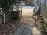 Chủ kẹt tiền cần bán gấp đất thổ cư.sổ hồng giá rẽ Chủ kẹt tiền cần bán gấp đất thổ cư.sổ hồng giá rẽ