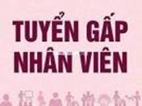 LOA LOA 💕👉Cần tuyển 06 nam nữ đóng gói hàng hóa làm giờ hành chính LOA LOA 💕👉Cần tuyển 06 nam nữ đóng gói hàng hóa làm giờ hành chính