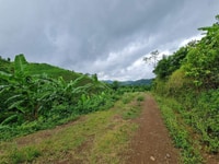 🌹 Hàng Hót Bám 6000m2 chỉ 1 tỷ tại Cao Phong -Hòa Bình 🌼 🌹 Hàng Hót Bám 6000m2 chỉ 1 tỷ tại Cao Phong -Hòa Bình 🌼