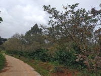 16284m2 đường bê tông cách đường nhựa 300m cách thị trấn 6km 16284m2 đường bê tông cách đường nhựa 300m cách thị trấn 6km