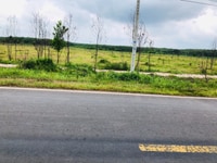 Bán 2015m2 đất ngay trường Cao Đẳng, gần kcn Becamex. Giá 480 triệu Bán 2015m2 đất ngay trường Cao Đẳng, gần kcn Becamex. Giá 480 triệu