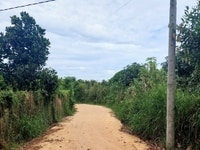 Đất vườn dân cư đông, đường bê tông, full thổ cư, view hồ. Đất vườn dân cư đông, đường bê tông, full thổ cư, view hồ.