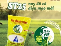 Giá gạo ST25 hôm nay bao nhiêu 1kg | Gạo Phương Nam Giá gạo ST25 hôm nay bao nhiêu 1kg | Gạo Phương Nam