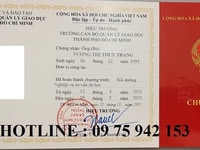 Học chứng chỉ tư vấn du học online Học chứng chỉ tư vấn du học online