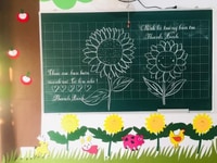 Bảng Từ Xanh Chống Lóa Hàn Quốc In Ô Ly – KT: 40X60 cm Bảng Từ Xanh Chống Lóa Hàn Quốc In Ô Ly – KT: 40X60 cm