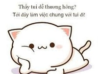 Cần tuyển nam nữ nhân viên lao động phổ thông tại cửa hàng Cần tuyển nam nữ nhân viên lao động phổ thông tại cửa hàng