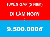 Tuyển gấp 5 nhân viên đi làm ngay Tuyển gấp 5 nhân viên đi làm ngay