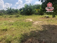 Bán Gấp Lô Đất 300m2 full Thổ Cư đường Tân Hiền, x.Thiện Tân, h.Vĩnh C Bán Gấp Lô Đất 300m2 full Thổ Cư đường Tân Hiền, x.Thiện Tân, h.Vĩnh C