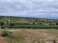 Bán 5980m2 đất vườn hồng thái gần dân cư và liên huyện chỉ 597tr Bán 5980m2 đất vườn hồng thái gần dân cư và liên huyện chỉ 597tr