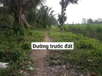 Kẹt tiền bán gấp lô đất vườn đẹp mặt tiền kênh 8m Kẹt tiền bán gấp lô đất vườn đẹp mặt tiền kênh 8m