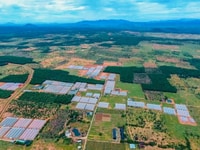 Đất Vườn Xã Sông Lũy Gần KDL Safari 3.300ha Giá Chỉ 85.000đ/m2 Đất Vườn Xã Sông Lũy Gần KDL Safari 3.300ha Giá Chỉ 85.000đ/m2