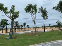 Đất nền sổ đỏ ven biển Quy Nhơn, sở hữu vĩnh viễn, cam kết lợi nhuận. Đất nền sổ đỏ ven biển Quy Nhơn, sở hữu vĩnh viễn, cam kết lợi nhuận.