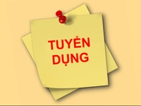 Công ty cần tuyển nhân viên thống kê nhập liệu Công ty cần tuyển nhân viên thống kê nhập liệu
