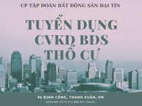 Job Thu Nhập Cao Cuối Năm - Bất Động Sản Đại Tín Job Thu Nhập Cao Cuối Năm - Bất Động Sản Đại Tín