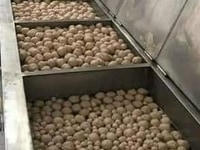 Sản xuất, gia công BÒ VIÊN - CÁ VIÊN. Cần tìm đối tác Sản xuất, gia công BÒ VIÊN - CÁ VIÊN. Cần tìm đối tác