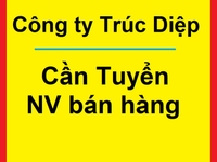 Công ty Trúc Diệp - cần tuyển nữ nhân viên bán hàng