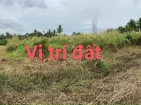 Cần bán 1 Lô Đất vườn chữ L, Ấp 9, xã Lương Hòa, Bến Lức, Long An Cần bán 1 Lô Đất vườn chữ L, Ấp 9, xã Lương Hòa, Bến Lức, Long An