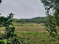 Chỉ nhỉnh 3 tỷ có ngay lô đất 4800m đất thổ cư, view cực đẹp, xunh Chỉ nhỉnh 3 tỷ có ngay lô đất 4800m đất thổ cư, view cực đẹp, xunh
