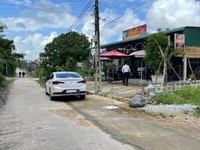 Bán Nhanh Đất Trần Văn Trà-Hương Vân Đường QH 12M Bán Nhanh Đất Trần Văn Trà-Hương Vân Đường QH 12M