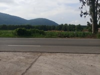 Đất mặt tiền đường nhựa, đất khu dân cư Đất mặt tiền đường nhựa, đất khu dân cư