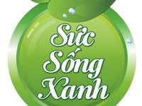 Tuyển nhân viên kế toán làm việc tại Hà Nội Tuyển nhân viên kế toán làm việc tại Hà Nội