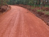 Chính chủ bán cần bán gấp lô đất vườn 1000m2 giá 300tr Chính chủ bán cần bán gấp lô đất vườn 1000m2 giá 300tr