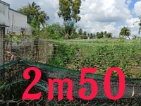 Đất thổ cư gần Chợ RẠCH KIẾN đường ĐH20 ĐT826 Đất thổ cư gần Chợ RẠCH KIẾN đường ĐH20 ĐT826