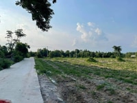 Đất 3 MT X. Châu Pha, TX. Phú Mỹ. DT: 9000m2 (6 sổ riêng). Giá: 17 tỷ Đất 3 MT X. Châu Pha, TX. Phú Mỹ. DT: 9000m2 (6 sổ riêng). Giá: 17 tỷ