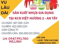 Tuyển thời vụ lâu dài làm việc tại KCN Việt Hương 2- An Tây