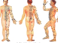 MASSAGE- BẤM HUYỆT( Body, Lingame...các bệnh yến sinh lý.) MASSAGE- BẤM HUYỆT( Body, Lingame...các bệnh yến sinh lý.)