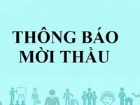 Tổ chức Save the Children International Việt Nam thông báo mời thầu Tổ chức Save the Children International Việt Nam thông báo mời thầu