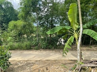 Bán Lô Đất Mặt Tiền Vị Trí Đẹp TP. Huế- Giá Chính Chủ Không Qua Trung Bán Lô Đất Mặt Tiền Vị Trí Đẹp TP. Huế- Giá Chính Chủ Không Qua Trung