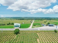 Đầu tư đất Bắc Binh, Bình Thuận mặt đường khu dưa lưới, ngay DT716, Đầu tư đất Bắc Binh, Bình Thuận mặt đường khu dưa lưới, ngay DT716,