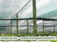 Lưới che nắng thái lan mua ở đâu giá tốt Lưới che nắng thái lan mua ở đâu giá tốt