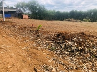 Chỉ với 2xx sở hữu liền tay 1100m2 đất chính chủ tại thanh an hớn quả Chỉ với 2xx sở hữu liền tay 1100m2 đất chính chủ tại thanh an hớn quả