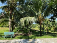 Bán Đất Vườn Sinh Thái Thạnh Phú, Vĩnh Cửu, 20,133 m2 Bán Đất Vườn Sinh Thái Thạnh Phú, Vĩnh Cửu, 20,133 m2