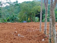 Bán gấp lô đất ở trại hòa hợp hòa Lương Sơn hòa bình Bán gấp lô đất ở trại hòa hợp hòa Lương Sơn hòa bình