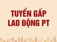 Tuyển 5 nhân viên nam nữ lao động phổ thông phụ kho, dán tem Tuyển 5 nhân viên nam nữ lao động phổ thông phụ kho, dán tem