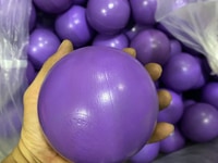 Bóng nhựa nhà banh loại 1 (màu tím) Bóng nhựa nhà banh loại 1 (màu tím)