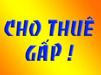 Cho thuê 5.000m2 Đất trống cứng đẹp, tiện làm bãi xe bãi container Cho thuê 5.000m2 Đất trống cứng đẹp, tiện làm bãi xe bãi container
