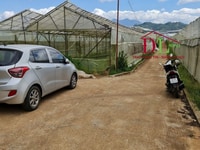 Bán đất Trần Văn Côi P5 Đà Lạt thích hợp đầu tư lâu dài Bán đất Trần Văn Côi P5 Đà Lạt thích hợp đầu tư lâu dài