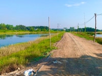 Cần bán 1000m2 ( 20x50) đất lúa đường 4m gần cảng Quốc Tế Long An. Cần bán 1000m2 ( 20x50) đất lúa đường 4m gần cảng Quốc Tế Long An.