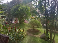 Đất đẹp full 300m thổ cư (10*30) Đất đẹp full 300m thổ cư (10*30)