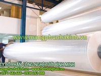 Màng PE nhà kính,màng phủ nhà kính,chi phí làm nhà kính Màng PE nhà kính,màng phủ nhà kính,chi phí làm nhà kính