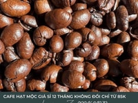 Cà phê nguyên chất, Cà phê rang mộc, Cà phê hạt tìm đối tác xuất khẩu Cà phê nguyên chất, Cà phê rang mộc, Cà phê hạt tìm đối tác xuất khẩu