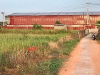 Chính chủ bán 300m2 đất full thổ cư cách QL1A 50m Chính chủ bán 300m2 đất full thổ cư cách QL1A 50m
